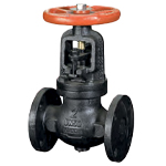 Cast Iron Flanged Globe Valve